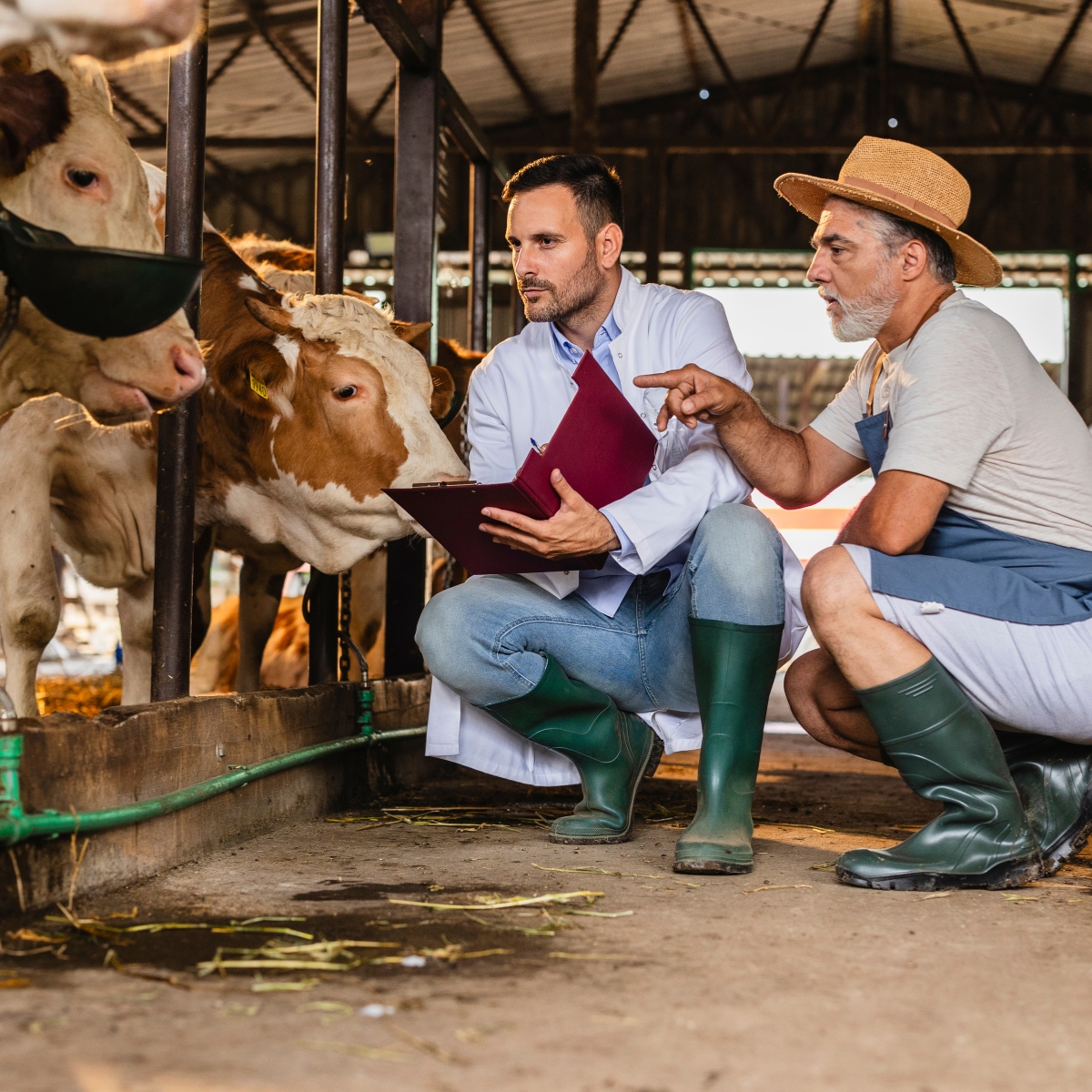 Untracked Milk Yield